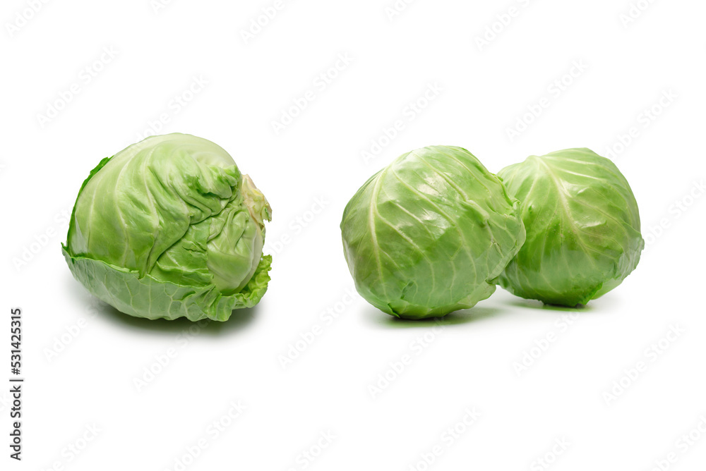 Fototapeta premium Cabbage isolated on white background.