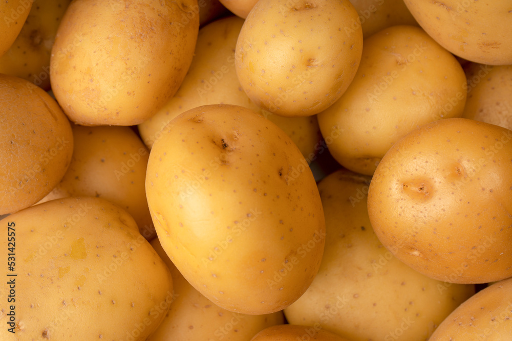 A group of fresh tasty potato as background. A group of fresh tasty potato as background.