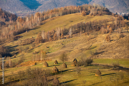 Rural autumn landscape from Maramures. (Transylvania, Romania)  © AlexandruClaudiu