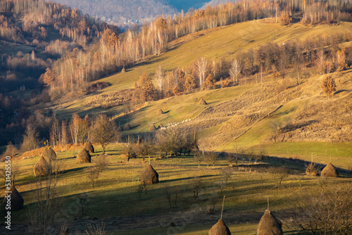 Rural autumn landscape from Maramures. (Transylvania, Romania)  © AlexandruClaudiu
