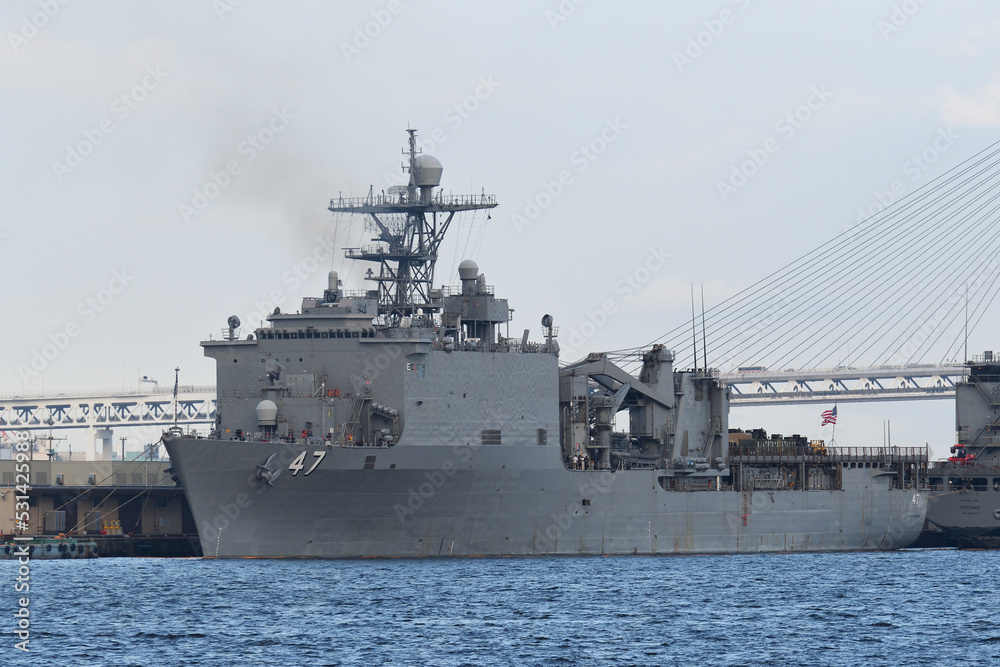 United States Navy USS Rushmore (LSD-47), Whidbey Island-class dock landing ship anchored at Yokohama Port in Japan.