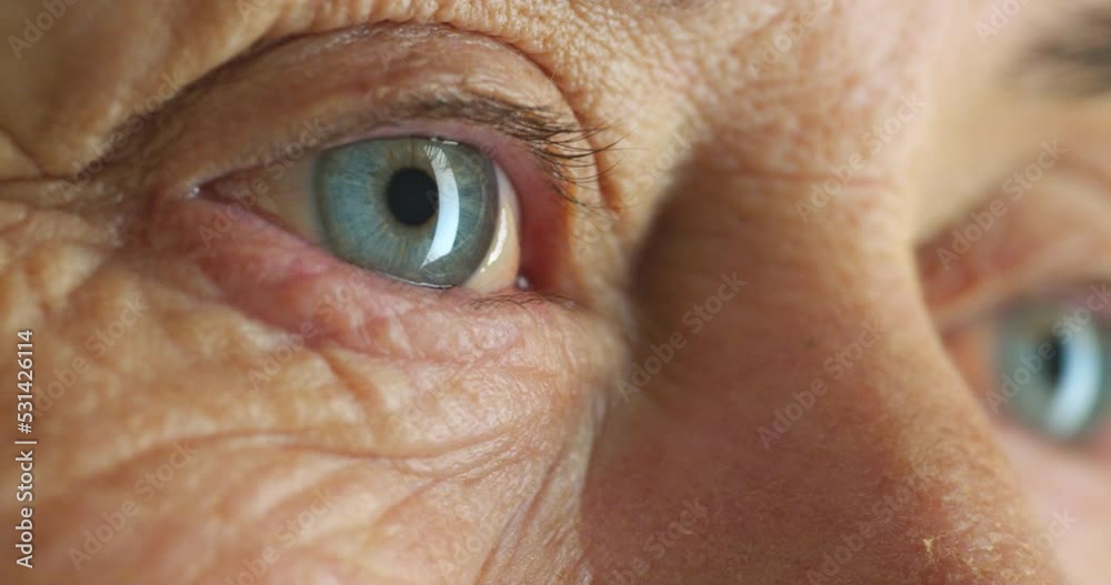 Senior woman blue eyes, lashes and wrinkle skin thinking against a studio background. Zoom in face or head of elderly woman lonely and thoughtful in retirement with light reflection in eye alone Senior woman blue eyes, lashes and wrinkle skin thinking against a studio background. Zoom in face or head of elderly woman lonely and thoughtful in retirement with light reflection in eye alone