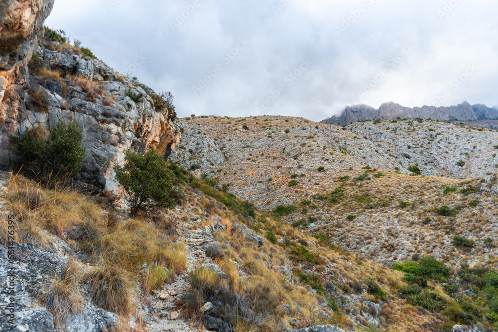 landscape in the mountains