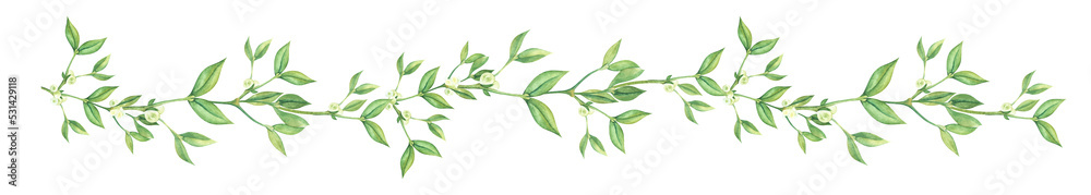 Elongated border decorative element. Longvine Mistletoe ivy branch with small white berries and tiny leaves. Hand painted watercolor illustration. Colorful light cartoon drawing isolated on white