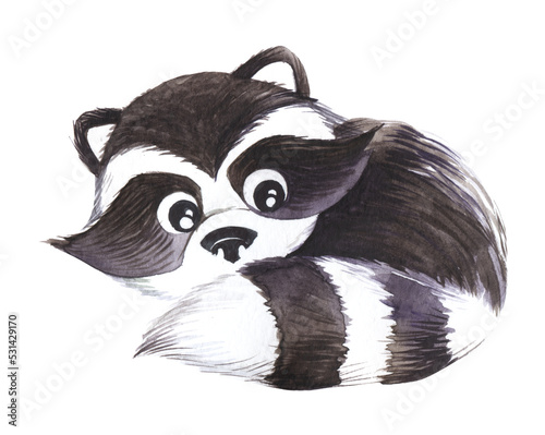 Illustration decorative element. Small black and white raccoon curled up ball looks out big eyes from behind striped tail Hand painted watercolor. cartoon drawing isolated on white background. photo