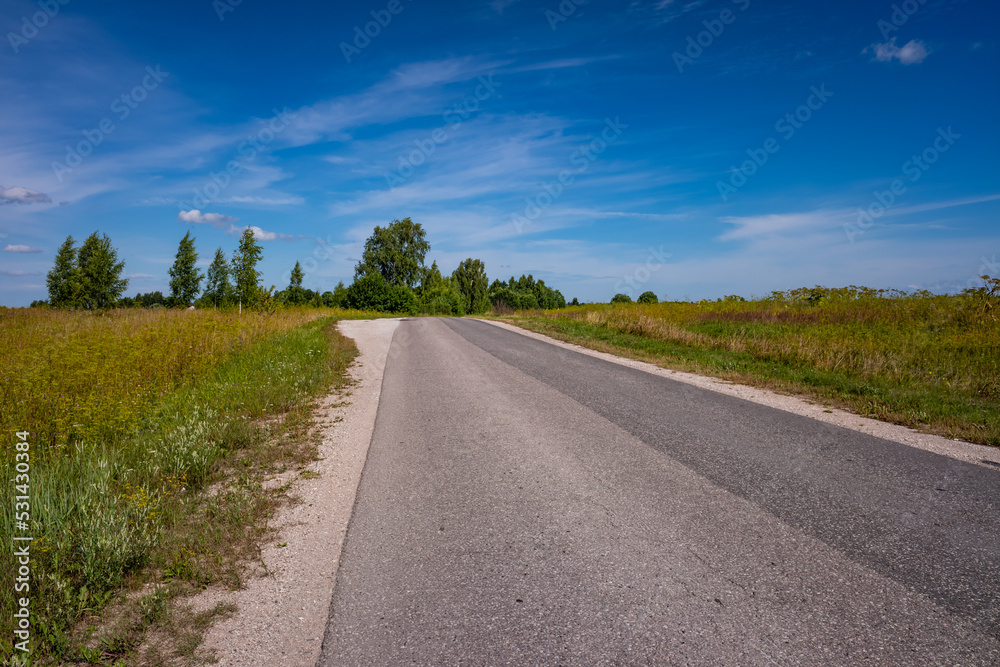 Picturesque asphalt road, beautiful summer view, Pskov region, Russia