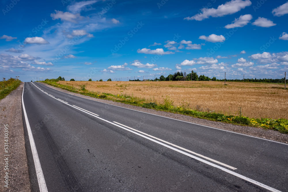 Picturesque asphalt road, beautiful summer view, Pskov region, Russia