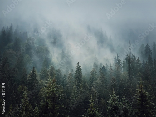 Sunlit foggy fir forest background. Peaceful and moody scene with haze clouds moving above the coniferous trees. Natural landscape with pine woods on the mountain hills covered with mist © psychoshadow