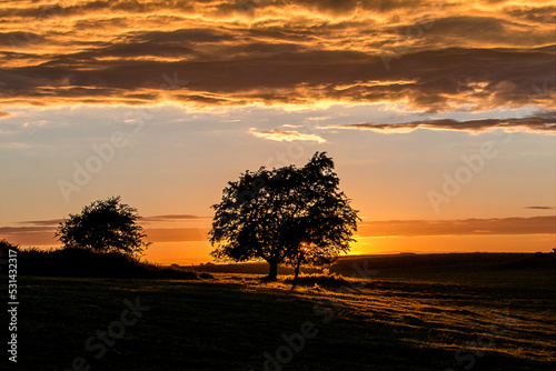 Sunset on the Curragh of Kildare  photo