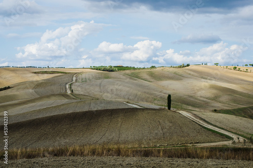 Il panorama della Valdorcia in Toscana con una strada bianca che corre fra i campi arati e un cipresso isolato in una giornata di sole e nuvole 