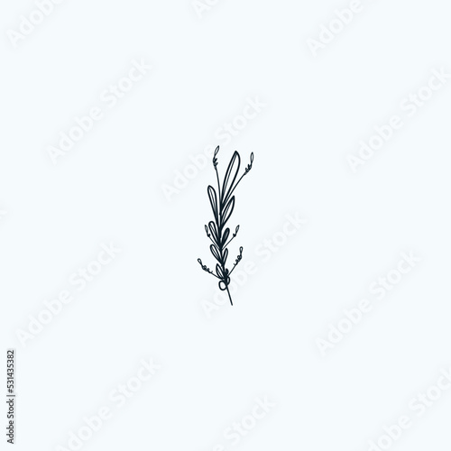 Hand drawn abstract imaginary plant