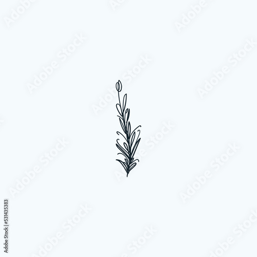 Hand drawn abstract imaginary plant