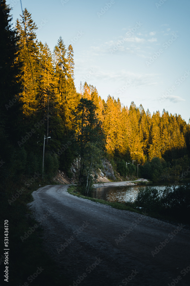 Straße an einem See umgeben von Wald bei Sonnenuntergang in Skandinavien, Norwegen Straße an einem See umgeben von Wald bei Sonnenuntergang in Skandinavien, Norwegen