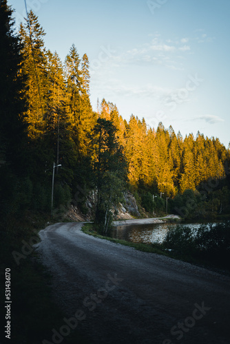 Straße an einem See umgeben von Wald bei Sonnenuntergang in Skandinavien, Norwegen