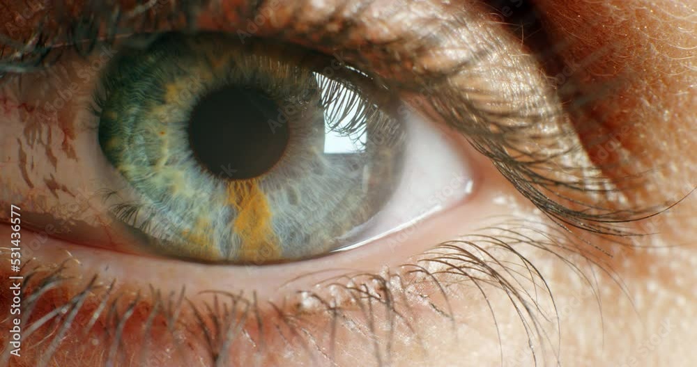 Eye, dilating and iris in vision for awareness and pupil looking in