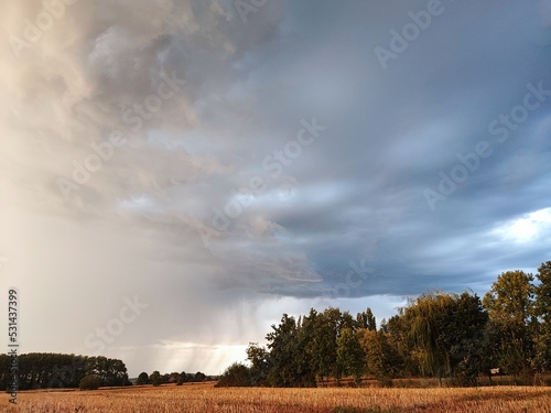 clouds over the field