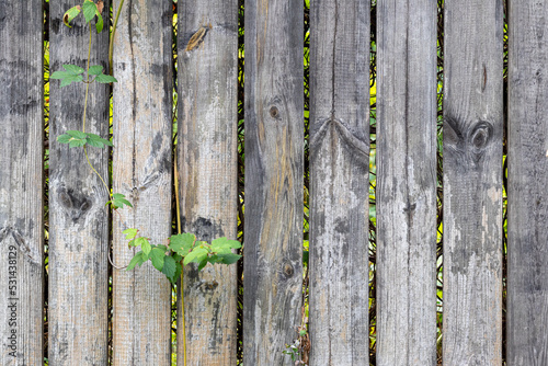 Texture of old wood with cracks. Wooden background.
