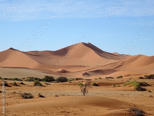 Majestic sand dunes in the namib desert of Namibia.