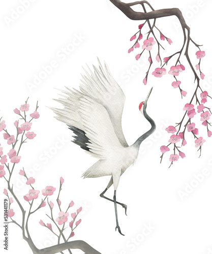 Watercolor print with crane and sakura. Japanese hand drawn illustration on white background