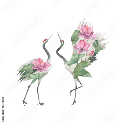 Watercolor print with crane of lotus flowers. Japanese hand drawn illustration © natikka