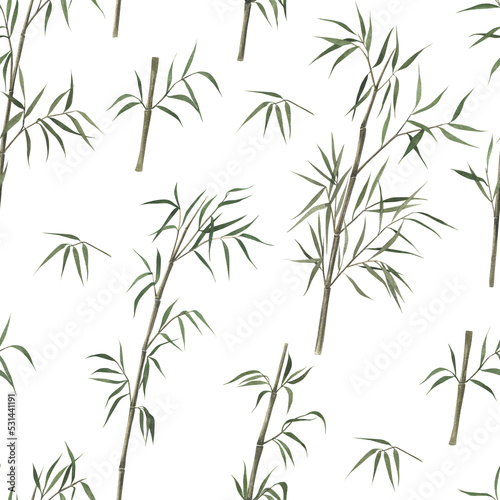 Watercolor seamless pattern with bamboo. Hand drawn  illustration on white background. Vintage print