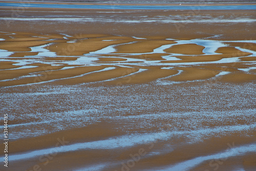 Landscape of the wadden sea during low tide, national park wattenmeer photo