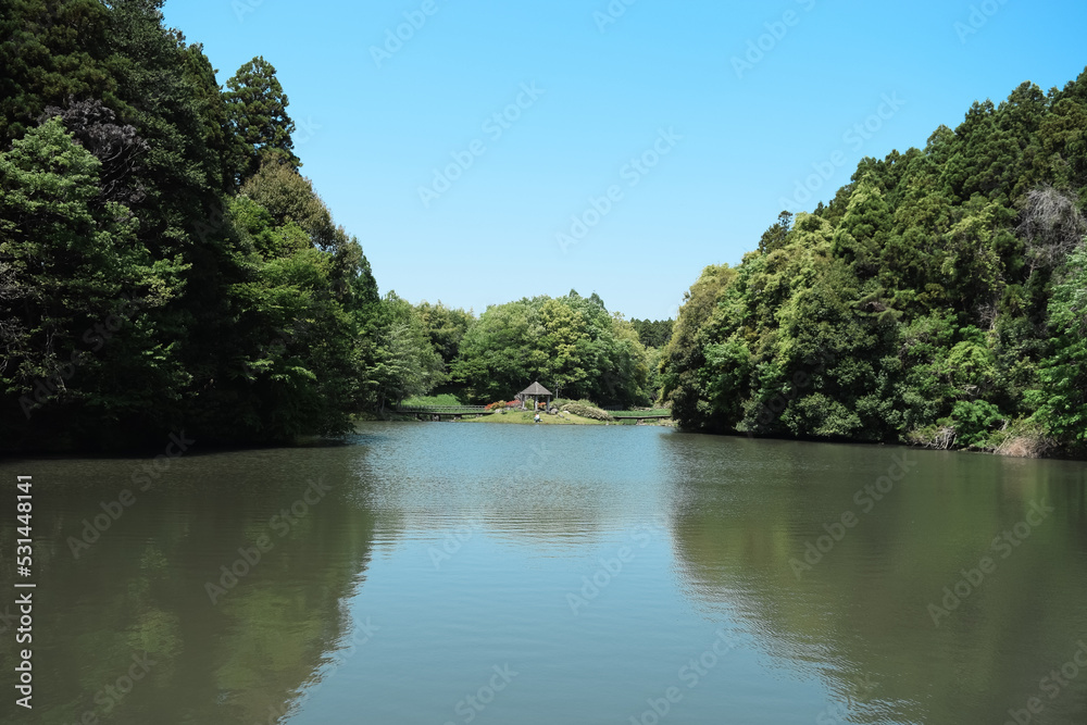 夏ののどかな公園