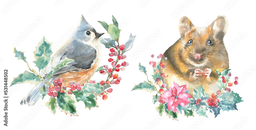 Watercolor squirrel,bird on fir tree branch Christmas illustration.Woodland winter forest nursery decoration for greeting card, poster, invitation, baby shower Merry Christmas,New Year print, sticker Watercolor squirrel,bird on fir tree branch Christmas illustration.Woodland winter forest nursery decoration for greeting card, poster, invitation, baby shower Merry Christmas,New Year print, sticker