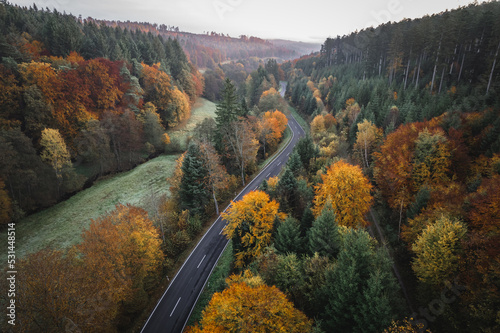 Schwarzwald-Straße im Herbst