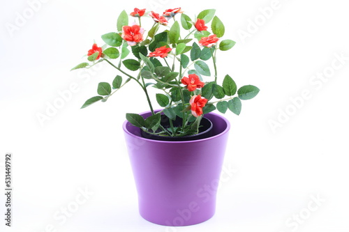The artificial flower in the pot on white background