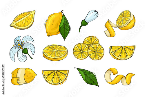 Lemon, citrus fruits, lemonade ingredients, yellow whole fruit, half piece of feel, zest and flowers, green leaves. Sour juice logo, delicious cut food, vitamin C sign. Vector cartoon icons