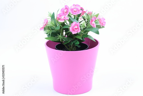 The artificial flower in the pot on white background