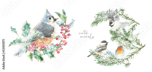 Watercolor squirrel bird on fir tree branch Christmas illustration.Woodland winter forest nursery decoration for greeting card  poster  invitation  baby shower Merry Christmas New Year print  sticker 