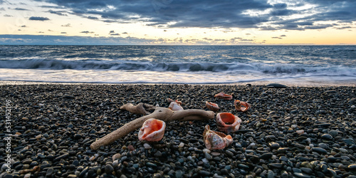 evening sea surf on the background of pebbles and shells on the beach at sunset © kirillk