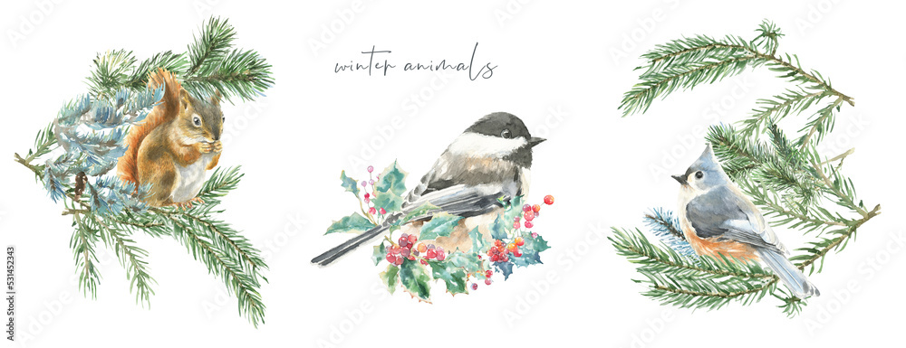 Fototapeta Watercolor squirrel,bird,mouse on fir tree branch Christmas illustration.Woodland winter forest nursery decoration greeting card, poster,invitation,baby shower, Merry Christmas,New Year print, sticker