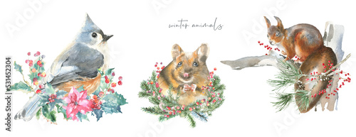 Watercolor squirrel,bird,mouse on fir tree branch Christmas illustration.Woodland winter forest nursery decoration greeting card, poster,invitation,baby shower, Merry Christmas,New Year print, sticker