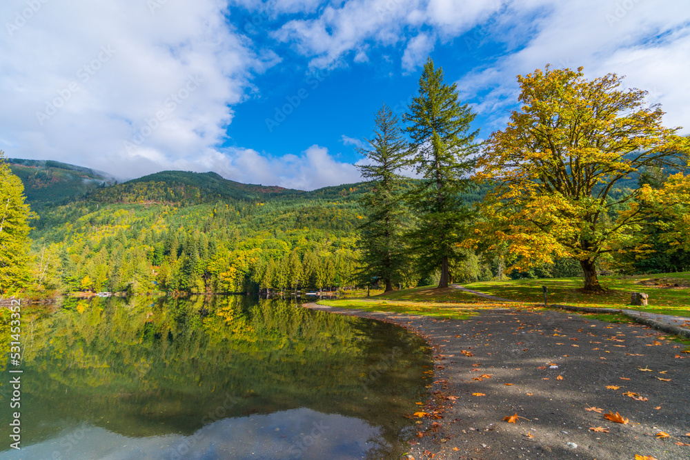 Autumn forest on the riverside, marvel at amazing views of the Silver ...