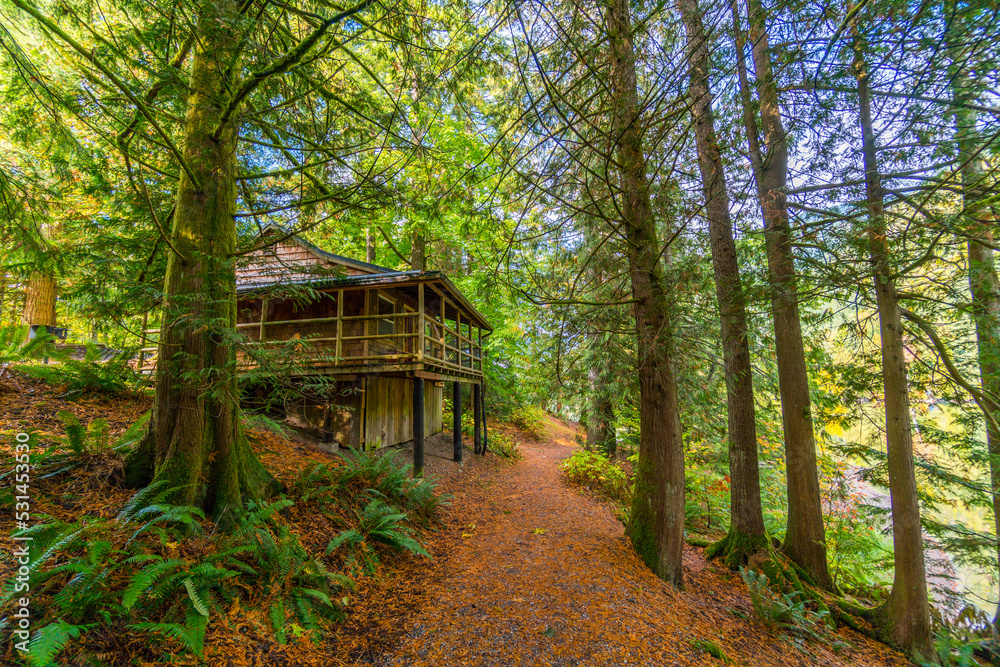 Amazing fall. The road in the autumn forest. Picnic shelters in Silver Lake Campground, Fall Time, North Cascades Region