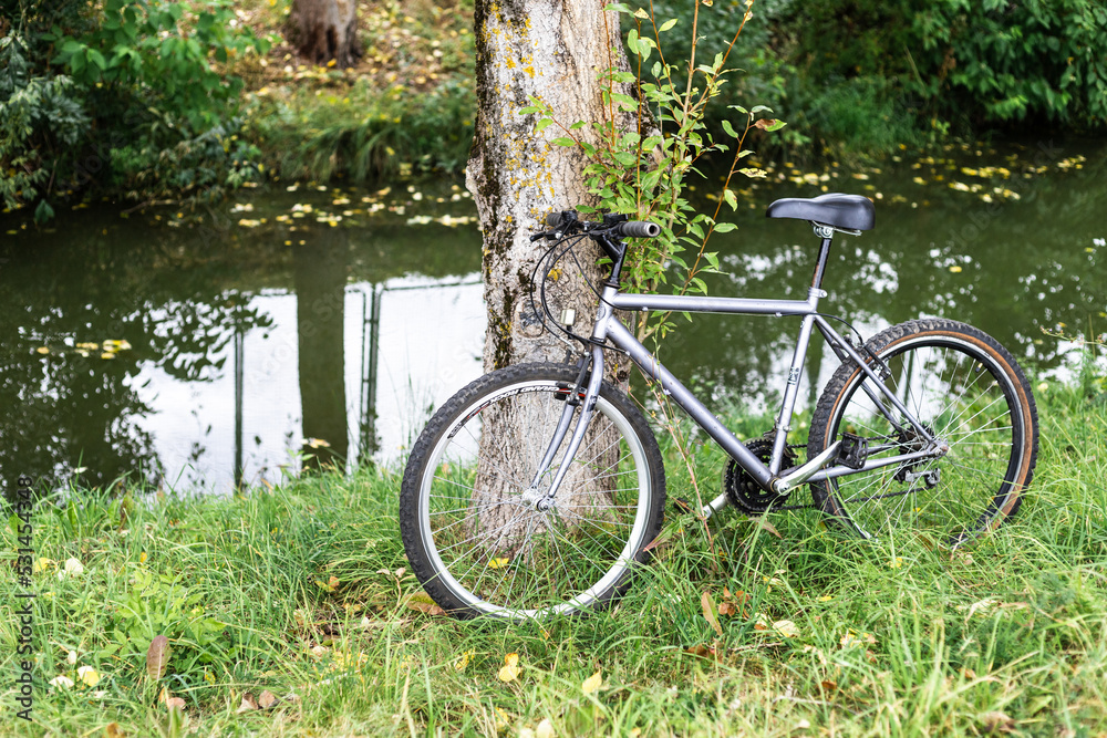 Bicycle stands near a tree growing near the river