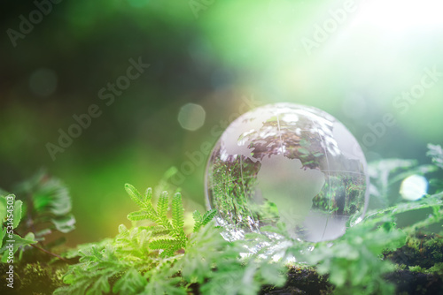 Globe planet glass In green forest with bokeh nature lights. world environment day. concept for environment conservation, protect ecology earth and environmental eco-friendly life with copy space