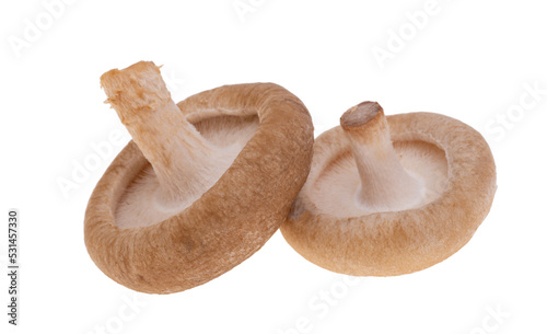 Shiitake mushrooms isolated