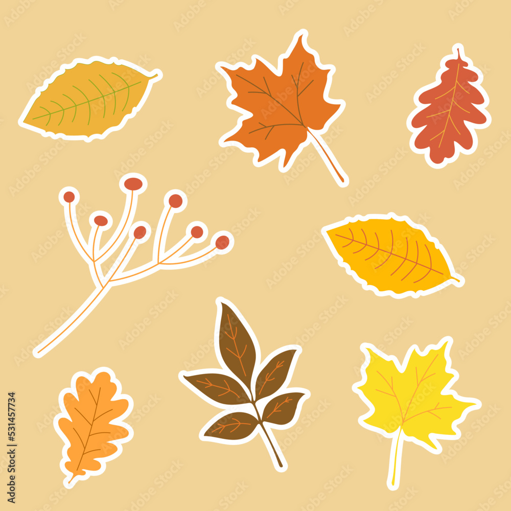 Obraz premium Аutumn leaves stickers set
