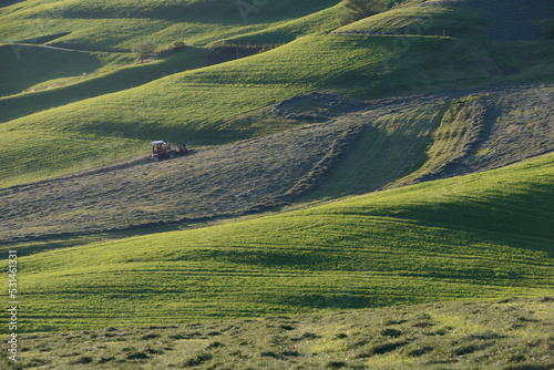 Mountain farmer rakes on the green steep slope in the evening light, slope tractor in harvest use 