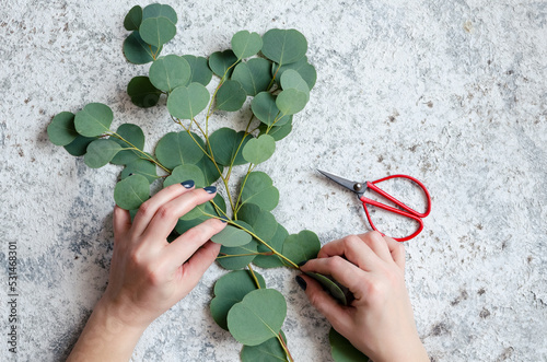 Fototapeta Naklejka Na Ścianę i Meble -  Florist hands make eucalyptus bouquet