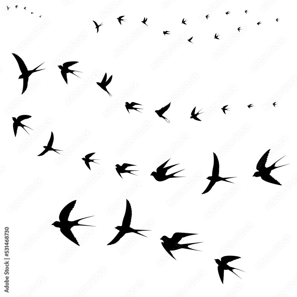 birds fly to warm countries birds fly to warm countries
