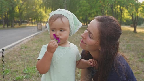 A little girl of 2 years old plucks a petunia flower from a flower bed and gives it to her mother to smell