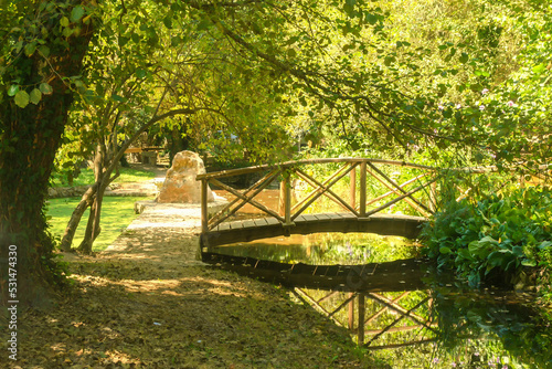 Wooden bridge over a stream in the park. Cool place in the shade on a summer day