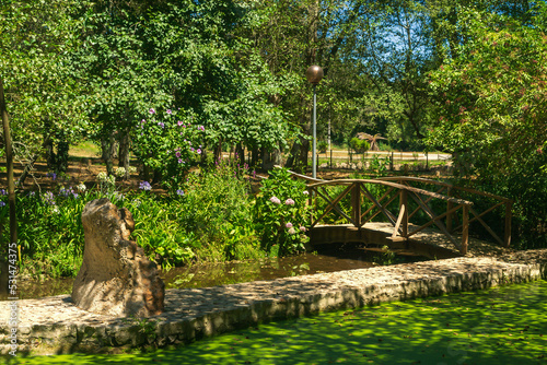 Walking paths on the edge of the forest. Pond and wooden bridge over a stream