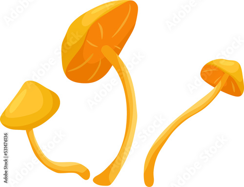 Mushrooms. False honey mushrooms. Vector cartoon illustration