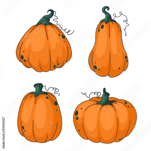 Set of orange pumpkins on white background